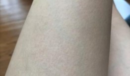 亚服吃鸡皮肤爆料最新版,最新版惊艳亮相，视觉盛宴即将开启！